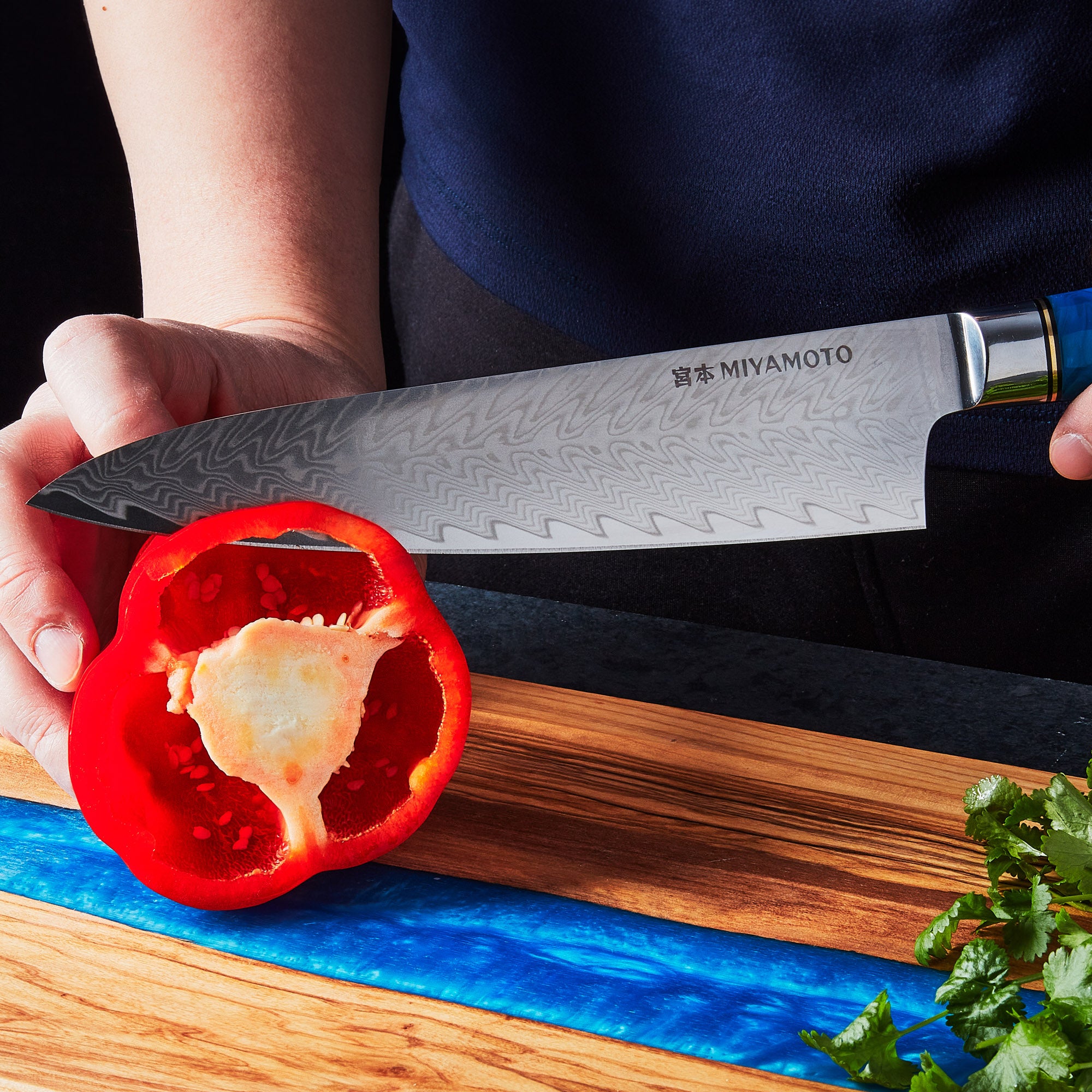 Miyamoto Japanese Damascus Steel Kitchen Knife Set With Resin Handle